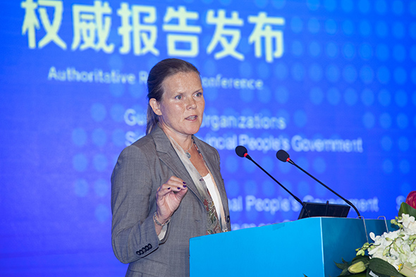 2015年峨眉高峰论坛在中国四川乐山成功召开
